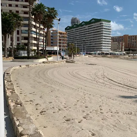 Service Lazaro- Aguamarina 26